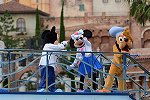 Dcim16129/DSC_2199