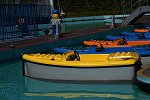Dcim16137/DSC_0554