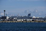 Dcim16172/DSC_4625