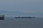 Dcim16183/DSC_5869