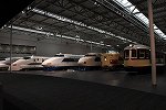 Dcim16192/DSC_6980