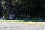 Dcim16209/DSC_9447