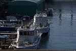 Dcim16217/DSC_0124