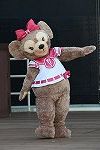 Dcim16218/DSC_0318