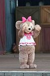 Dcim16221/DSC_0733