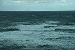 DSC_2679