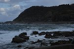 DSC_3010
