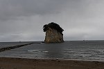 DSC_3368