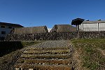 Dcim16258/DSC_5048