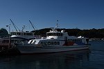 Dcim16258/DSC_5102
