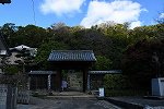 Dcim16259/DSC_5174