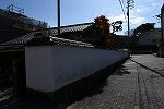 DSC_6155