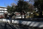 DSC_6182