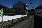 DSC_6196