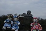 Dcim16277/DSC_6989