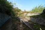 Dcim16289/DSC_4245