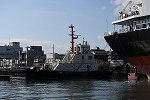 Dcim16290/DSC_8190