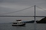 Dcim16294/DSC_8590