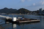 Dcim16299/DSC_8980
