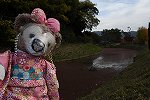 Dcim16316/DSC_0238