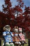 Dcim16316/DSC_0254