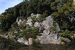 Dcim16317/DSC_0266
