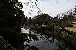 Dcim16317/DSC_0295