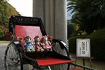 Dcim16318/DSC_0389