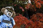 Dcim16319/DSC_0521
