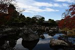 Dcim16319/DSC_0527