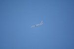 Dcim16329/DSC_5493