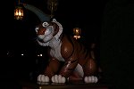 Dcim16333/DSC_1969