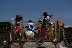 Dcim16394/DSC_7631