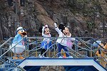 Dcim16400/DSC_7459