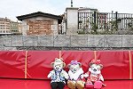 Dcim16402/DSC_8473