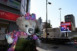 Dcim16407/DSC_9104