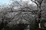 Dcim16421/DSC_0407
