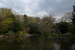 Dcim16422/DSC_0455