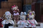 Dcim16426/DSC_8456