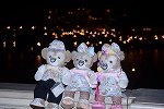 Dcim16427/DSC_8598