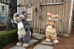 Dcim16429/DSC_0692