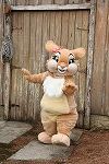 Dcim16429/DSC_0710