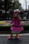 Dcim16431/DSC_0927