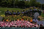 DSC_1616