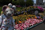Dcim16437/DSC_1617