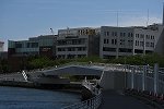 DSC_1695