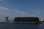 DSC_1696