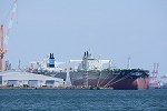 Dcim16440/DSC_8745