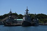 Dcim16447/DSC_2348