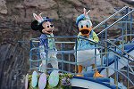 Dcim16478/DSC_0231